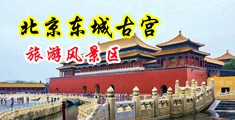 男人带毛的鸡巴操女人带毛的逼逼中国北京-东城古宫旅游风景区